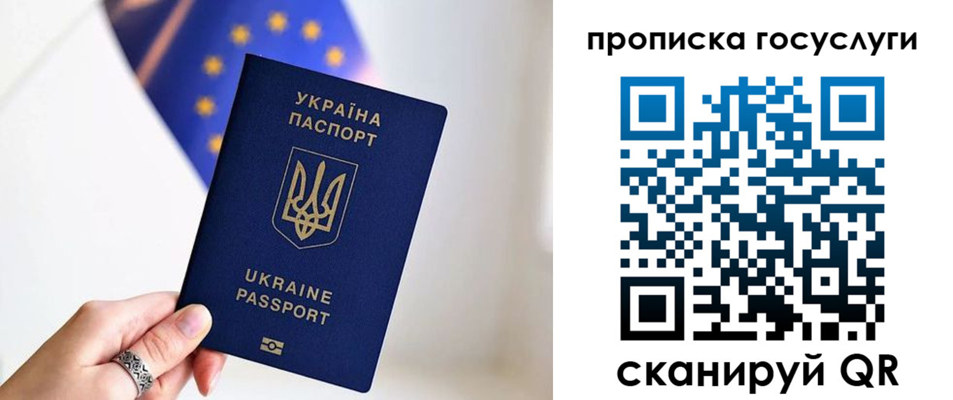 временная регистрация для всех в Алейске